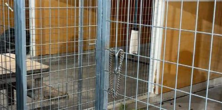 Man greps med hund och stege – misstänks ha brutit sig in på Hundstallet i Alingsås