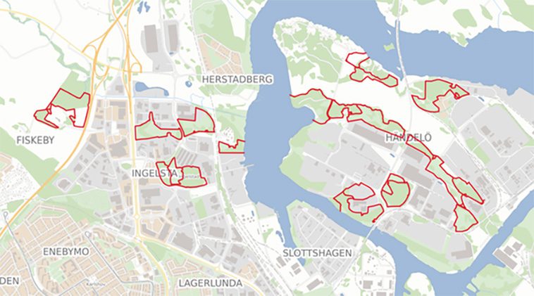Norrköping kommuns uppmaning: "Håll era hundar kopplade i betesmarker"