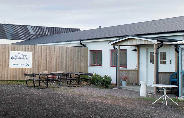 Hundstallets lokal i Staffanstorp har blivit uppsagda – söker ny med ljus och lykta