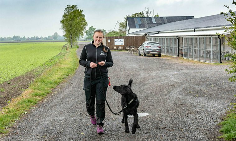 Hundstallets lokal i Staffanstorp har blivit uppsagda – söker ny med ljus och lykta