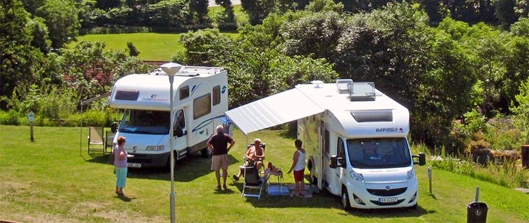 15 hundvänliga campingar du måste besöka i sommar: Johannesvik Camping & Stugby