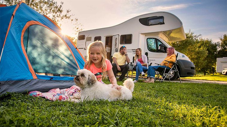 15 hundvänliga campingar du måste besöka i sommar