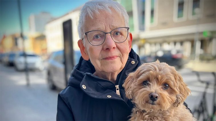 Ännu en hundattack i centrala Luleå – flera incidenter kopplas nu samman
