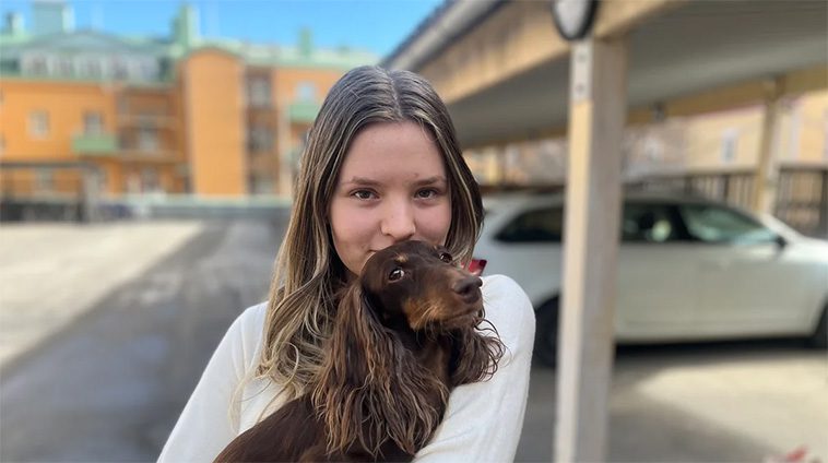 Ännu en hundattack i centrala Luleå – flera incidenter kopplas nu samman
