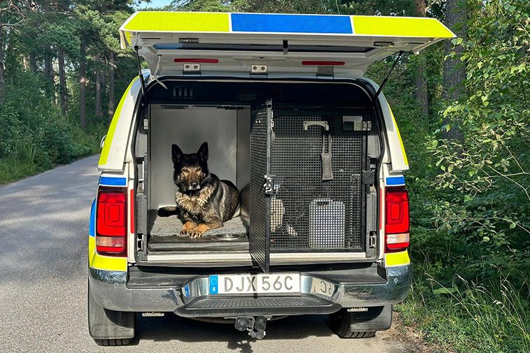 Nya polisbilarna kritiseras av hundförare: "Hundarna lider"