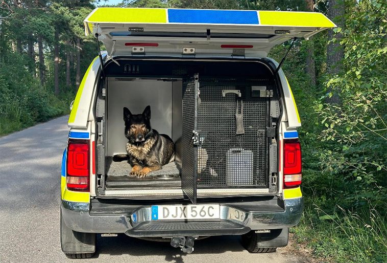 Bullrande burar och stressade polishundar – Jordbruksverket klargör reglerna